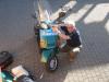 Clicca per visualizzare img_1589_t1_1.jpg