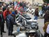 Clicca per visualizzare img_0340_t1.jpg