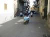 Clicca per visualizzare img_0512_t1.jpg
